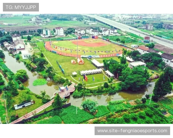 徐家埭村棒球产业链带动2024年村集体经营性收入690万元