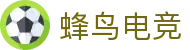 蜂鸟电竞 (中国)官方网站‌ - 电竞比赛数据和视频直播平台